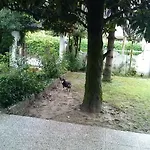 Casa Irene 3*