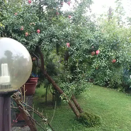 Casa Irene Bed & Breakfast Torri di Quartesolo