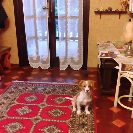 Bed and Breakfast Casa Irene 3*