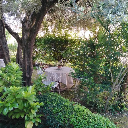 Casa Irene Bed and Breakfast