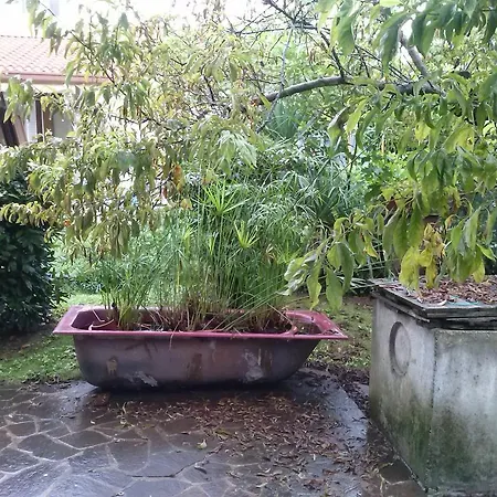 Casa Irene לינה וארוחת בוקר