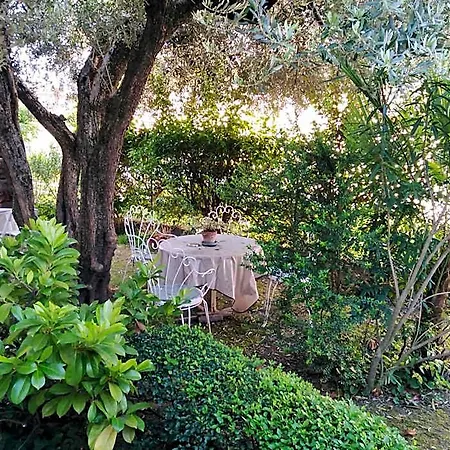לינה וארוחת בוקר Casa Irene
